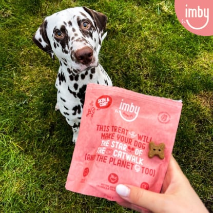 IMBY Skin & Coat supplement for dogs in a 100g package, featuring a clear view of the product and its label.
