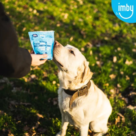 IMBY dental sticks for dogs, 100g pack, showing three natural dog treats designed to promote dental health and fresh breath.