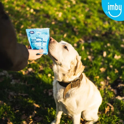 IMBY dental sticks for dogs, 100g pack, showing three natural dog treats designed to promote dental health and fresh breath.