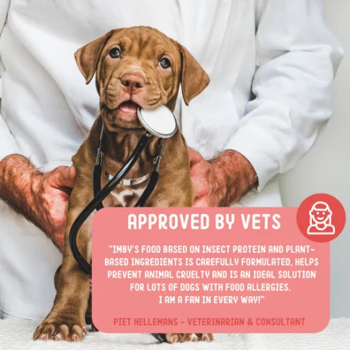 IMBY Skin & Coat supplement for dogs in a 100g package, featuring a clean, modern design and clear labeling.