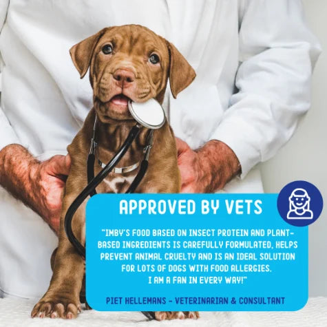 IMBY dental sticks for dogs, 100g pack, showing healthy dog treats designed to promote dental health and freshen breath.