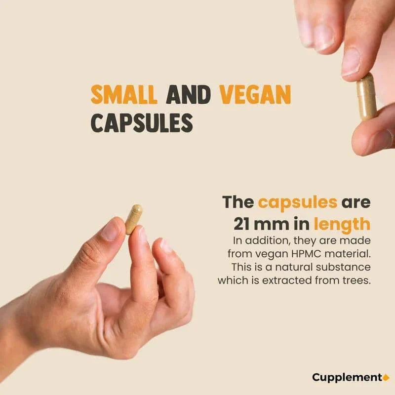CUPPLEMENT Lion’s Mane Extract supplement capsules, 400 mg, 60 softgel capsules shown in infographic image.