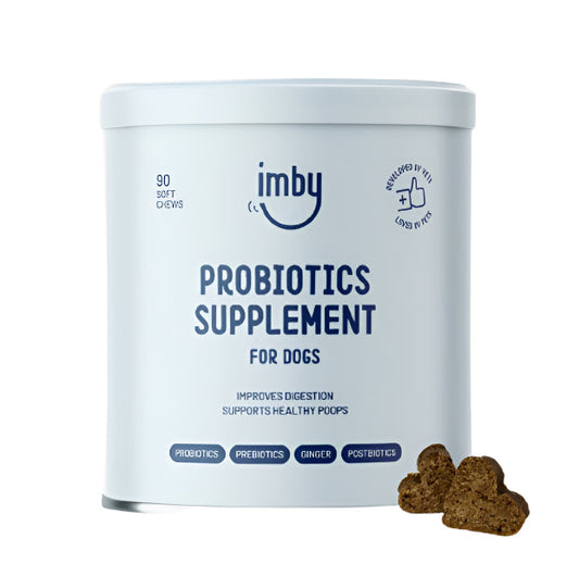 IMBY Probiotics for dogs in a container, showing the label with the product name and branding, designed for canine digestive health.