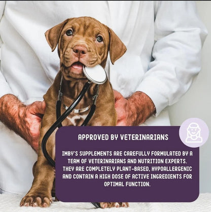 IMBY Hip & Joint dog supplement showing a container and a dog playing outdoors, designed to support joint health.