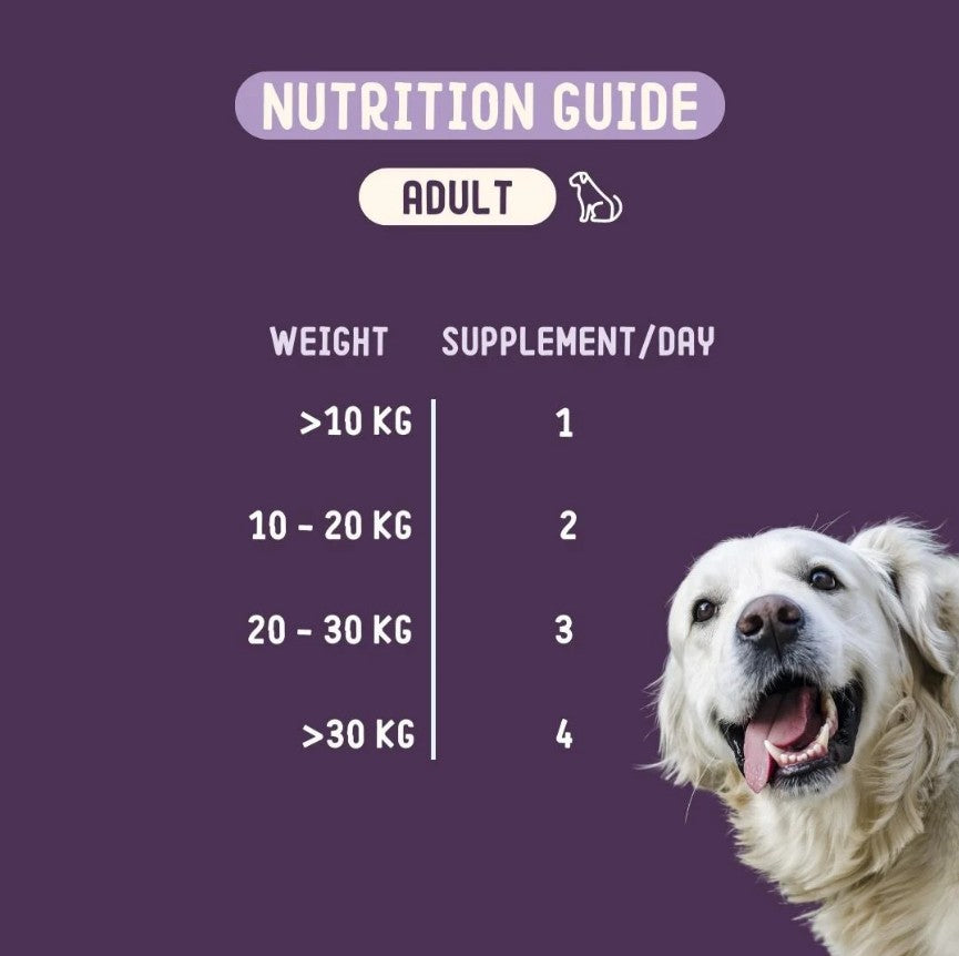 IMBY Hip & Joint dog supplement bottle with label, showing a green lid and product details on the front.