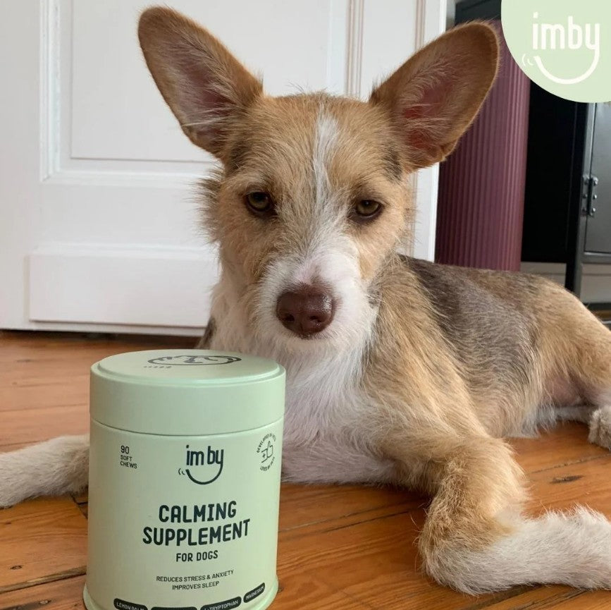 IMBY Calming dog product, featuring a soothing formula in a sleek package, designed for relaxation and comfort.