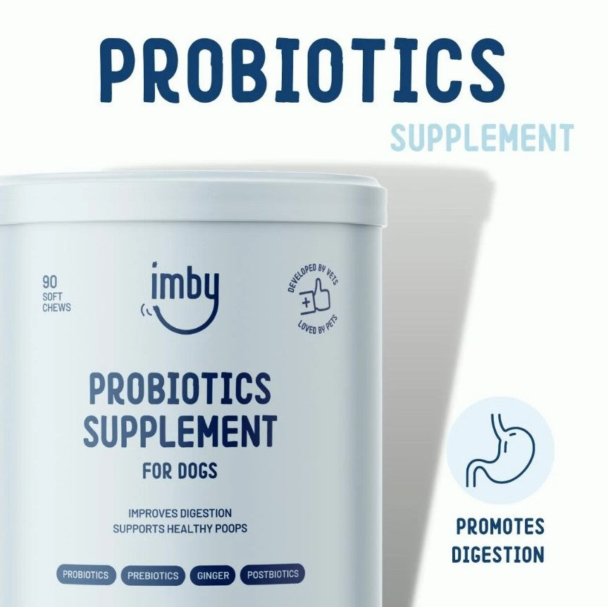 IMBY probiotics for dogs, showing the supplement container with label, designed to promote digestive health in dogs.