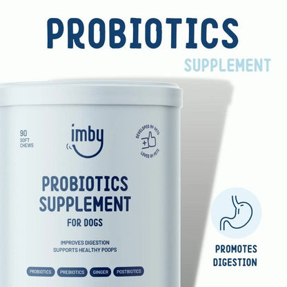 IMBY probiotics for dogs, showing the supplement container with label, designed to promote digestive health in dogs.