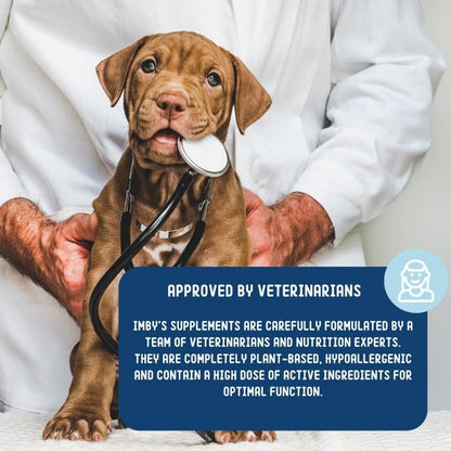 IMBY Probiotics for dogs, showing a container of dietary supplements with capsules and label details.