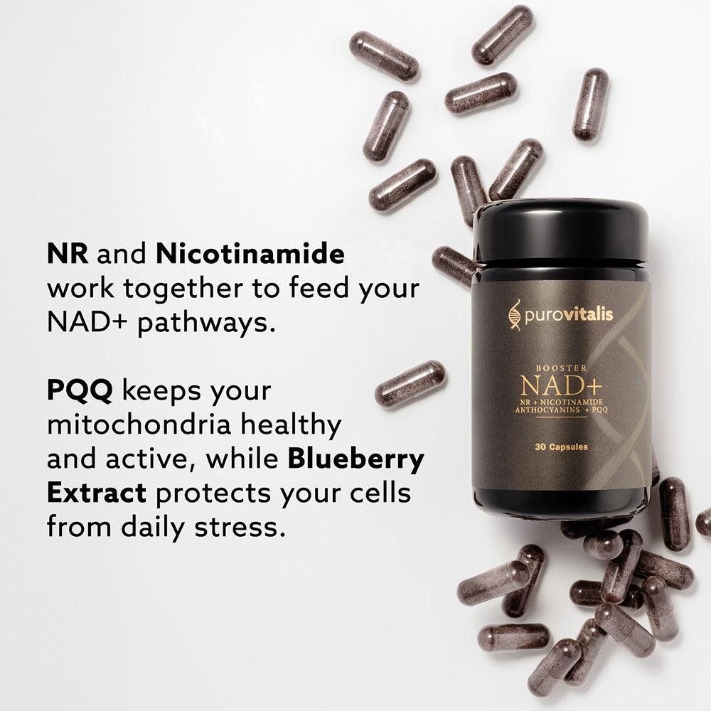 Purovitalis, NAD+ Booster, 30 Capsules - GREEN LIFE CYPRUS