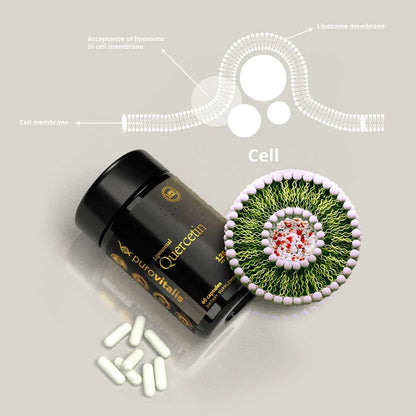 Liposomal Quercetin, 30 Vegan Capsules- Purovitalis - GREEN LIFE CYPRUS